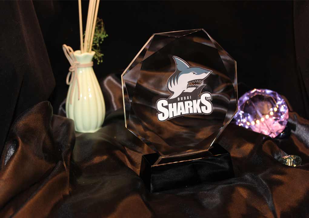 2D Laser Engraving Trophy