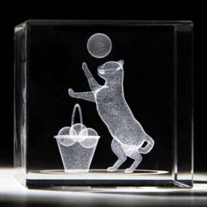 3D Laser Engraving Trophy