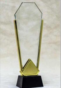 Metal Trophy with crystal