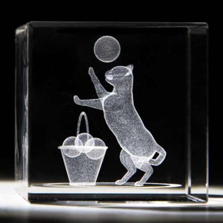 3D Laser Engraving Trophy